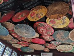 -武汉园博园(武汉自然博物馆)