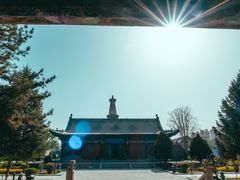 -张掖大佛寺景区