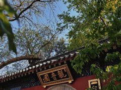 -千佛山风景名胜区