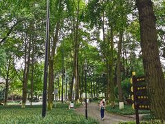 -温江公园