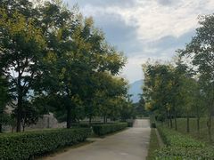 -秦始皇帝陵博物院-丽山园