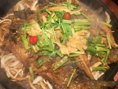 老板恋上鱼-老板恋上鱼(高新万达店)