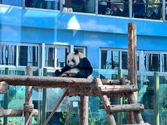 -大连森林动物园