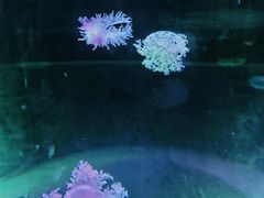 -苏州海洋馆