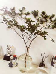 -美肤盾祛痘·问题肌头疗管理中心