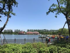 -上海长兴岛郊野公园