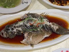-三玛璐酒楼(汉口路店)