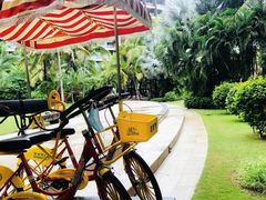 -三亚湾海居铂尔曼度假酒店