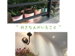 景观位-小艺烧烤(曲江店)
