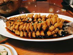 老醋松鼠鱼-醉长安(南门总店)