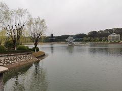 -上海鲜花港