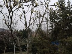 -贮水山儿童公园