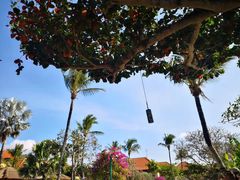 -Rock Bar Bali(Bali)