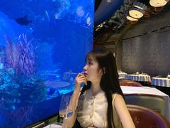 -迪拜帆船酒店海底餐厅