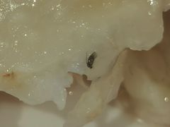 -蓝湾碧波·老字号·疍家非遗海上餐厅