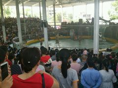 -泉州海丝野生动物世界