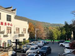 -塔川景区