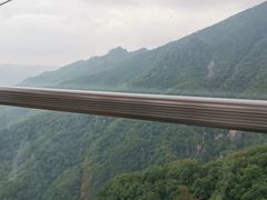 -牛背梁国家森林公园