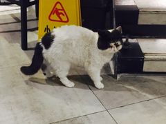 -俏湘私房菜(国贸店)