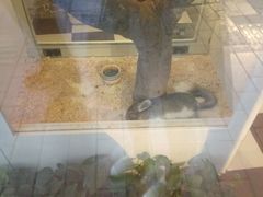 -龙猫仔乐园(惠福东路店)