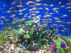 -绍兴梦享海洋公园