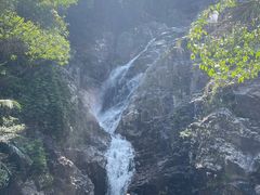 -海南霸王岭国家森林公园