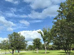 -盘龙城国家考古遗址公园