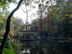 -广州兰圃