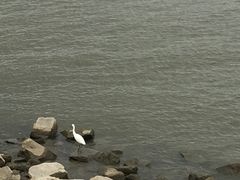 -钱塘江大桥