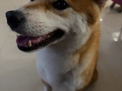 -珠海海泉湾度假区