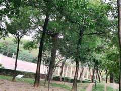 -福神岗公园
