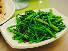 -顺峰渔港中国人的餐厅