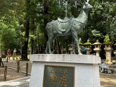 -奈良公园