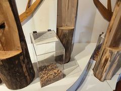 -宁波市保国寺古建筑博物馆