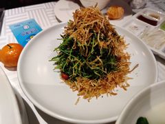 巧拌豆苗-四季民福烤鸭店(王府井灯市口店)