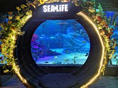 -沈阳海洋探索中心