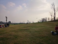 -白鹭湾湿地公园