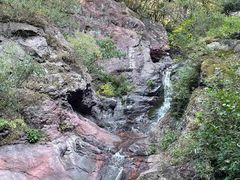 -云岫谷游猎自然风景区