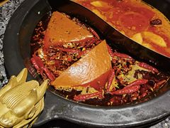 -蜀大侠火锅(建设路第五大道店)