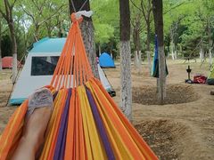 -永定河休闲森林公园