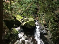 -藏龙百瀑风景区