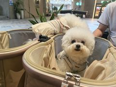 -奈雪茶院·茶室茶馆(广州粤海天地店)
