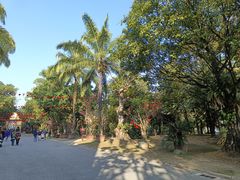 -云南勐巴娜西珍奇园