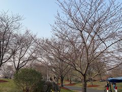 -自然谷恐龙园