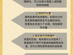 -派美特宠物医院·核磁CT·骨科肿瘤·疑难转诊(沈农禾丰店)