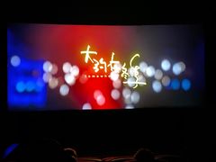 -万达影城(锦华万达广场IMAX店)