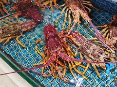 -同庆楼(奥体中心店)