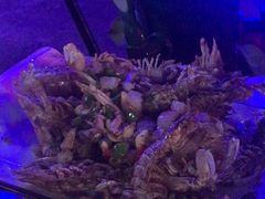 -夜猫子串吧·龙虾.江西小炒(万塘路店)