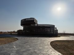 -盐城丹顶鹤湿地生态旅游区
