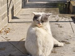 -清真·老兰家(兴善寺西街总店)